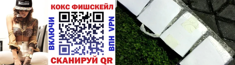 Купить закладки  Баймак  COCAIN Эквадор 