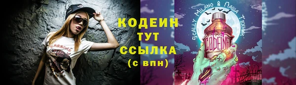 PSILOCYBIN Вяземский