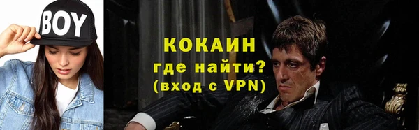 PSILOCYBIN Вяземский