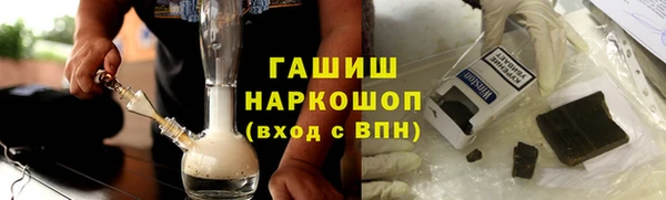 PSILOCYBIN Вяземский