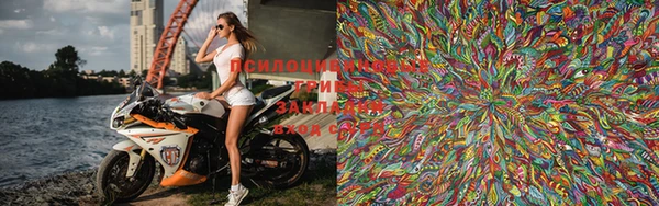 PSILOCYBIN Вяземский