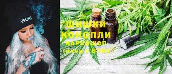 PSILOCYBIN Вяземский