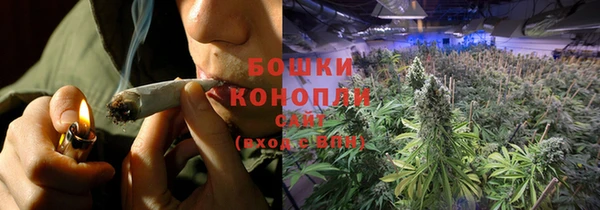 PSILOCYBIN Вяземский