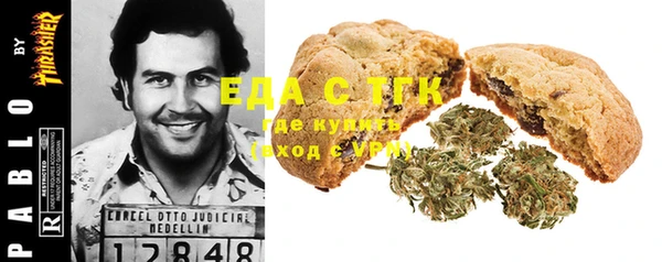 PSILOCYBIN Вяземский
