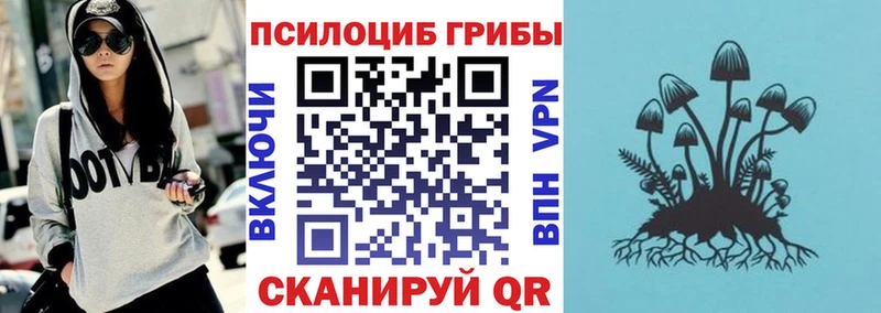 Псилоцибиновые грибы прущие грибы  Купить закладки  Баймак 